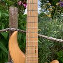 F bass BN5