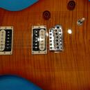 PRS SE Custom 22