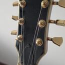 Výměna Les Paul Fokus za basu