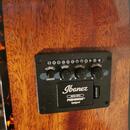 Ibanez "AVD9CE-NT" Artwood Vintage Thermo Aged Guitar