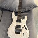 Ibanez PWM20 Paul Waggoner Signature (White) – Stav nové