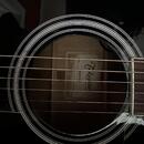 Takamine EF341SC