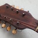MANDOLÍNA NEAPOLSKEHO TYPU