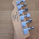 FenderTelecaster Scuier
