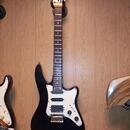 Godin g series USA 3000