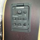 Gilmour: Antique CEQ + gig bag