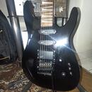 Hohner Professional Scorpion ST