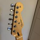 Fender player stratocaster HSS
