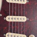 Fender Stratocaster player Mexico