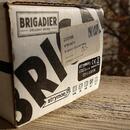 STRYMON Brigadier - dBucket delay pedálový efekt