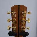 Dowina Master Series Indian Rosewood Selection DLX OMG