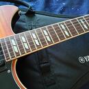 Yamaha Revstar RS620 . Upgrady ! cena dohodou