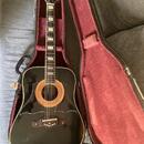 Ibanez Conord 752