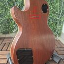 Gibson Les Paul Standard 2005