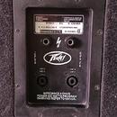 Peavey PRO15