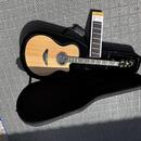 Yamaha APX 1200II NT