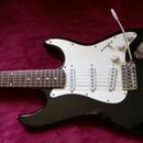 Stratocaster Collins