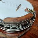 Bluegrassové banjo Čapek