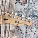 Fender Telecaster Standard 2016 MIM + puzdro