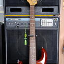NÁDHERNÝ MM STINGRAY EB LH 5  2005 HONEYBURST