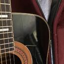 Ibanez Conord 752