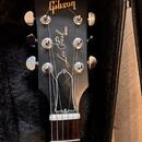Gibson LP Faded 2017 w/ mods & case 