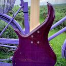 F bass 