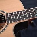 Crafter DLXE 3000 CD/RS + kufr
