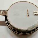 Banjo Průcha