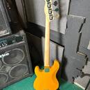 Bach Precision Bass P51