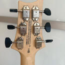 PRS SE NF53 MN, Pearl White (2026)