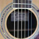 Carlos guitars ag 40