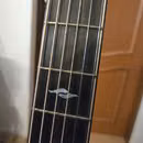 Taylor 814ce builders