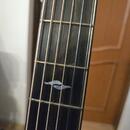 Taylor 814ce builders