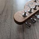 Poul Guitars Tele 2022