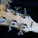 D'Angelico Premier Brighton Sherwood Green