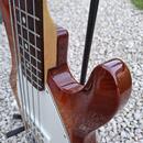 Music Man Stingray 5
