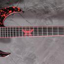 SCHECTER Sullivan King Banshee-6 FR
