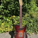Elektrická kytara s polodupatým korpusem v červeně-hnědém sunburst provedení a dřevěným hmatníkem. Na hlavě je viditelné logo Fender. Kytara má jeden…