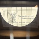 Fotografie detailu štítku uvnitř hudebního nástroje. Na bílém pozadí je vlevo černý nákres postavy a vpravo text: „Roman Svoboda - cithara overhaul r…