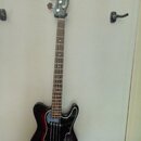 Čtyřstrunná basová kytara s černým korpusem v červeném sunburst provedení a bílým pickguardem. Na hlavě je svisle napsaný nápis RIS BASS. Nástroj má…