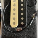 R. M. pickups F10 - Naked Lynch (zebra)