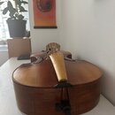 Dřevěná akustická kytara v hnědé barvě s viditnou strukturou dřeva. Nástroj je zobrazen z pohledu zadu, jsou vidět hradenec a dolní část korpusu. Na…