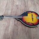 Strunný nástroj s tělem ve tvaru houslí a žlutě-červeným přechodem barvy (sunburst). Na hlavě je bílý nápis "SINGER". Nástroj má hриф s pražci a kovo…