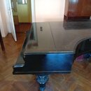 Černý křídlový klavír s vysokým leskem. Povrch je v horní části zakryt černou klavírní krytkou. Nástroj stojí na točených dřevěných nohách v černé ba…