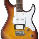 Elektrická kytara s dvojvýstupem v žlutě-hnědém sunburst provedení s viditelnou strukturou dřeva. Nástroj má bílý pickguard, hnedý hmatník a konfigur…