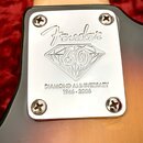 Detail kovového krytu na zadní straně krku kytary. Na chromovaném povrchu je vyryto logo Fender, grafika diamantu s číslem 60 a nápis DIAMOND ANNIVER…
