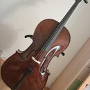 Hnědé smyčcové nástroje typu violoncello s lakovaným povrchem. Nástroj je umístěn na černém stojanu a nemá žádné viditelné značky ani nápisy. Povrch…