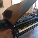 Černý křídlový klavír s otevřeným víkem. Na horní části nad klávesnicí je umístěna ozdobná vyřezávaná mřížka. Klávesnice vykazuje známky opotřebení a…