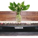 Černý elektronický klávesový nástroj s bílými a černými klávesami. Na přední straně je bílý nápis YAMAHA. Horní panel obsahuje řadu barevných tlačíte…